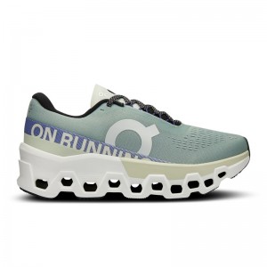 Mineral/Aloe On Running Cloudmonster 2 Men's Road Running Shoes | WF9052487