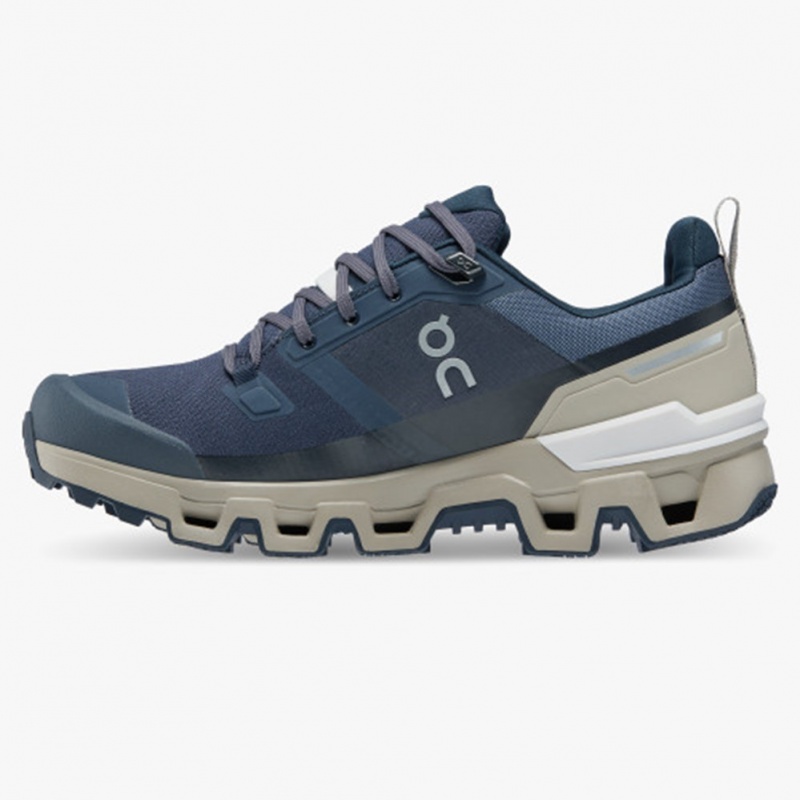 Navy/Desert On Running Cloudwander Waterproof Women's Running Shoes | FX2970165